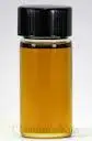 100% Natural & Fresh Carrot Seed Oil at Least Price
