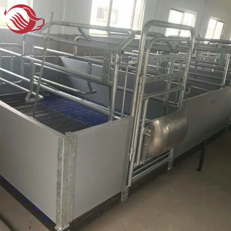 Hot dip galvanized customized size Sow farrowing cage for swine farm