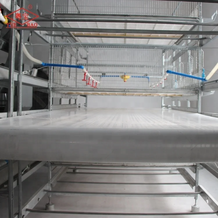 Poultry Manure Conveyor Belt Automatic Cleaning Chicken Manure Belt For Layer Feeding Chicken Cage