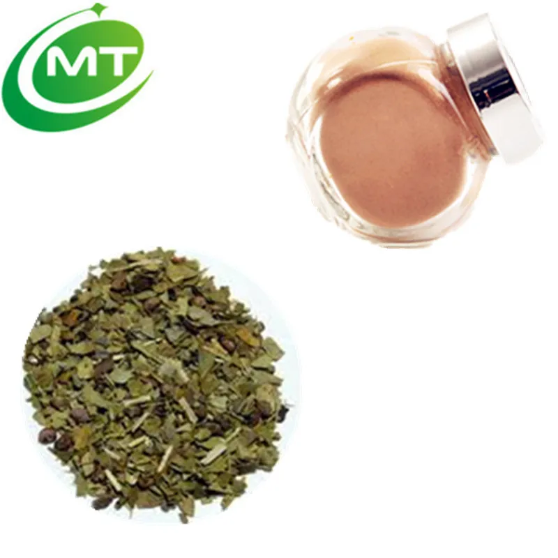 Good flavor anti mutation 10:1 Yerba Mate Extract powder