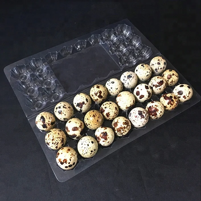 Factory price clear disposable 24 cells plastic quail egg tray
