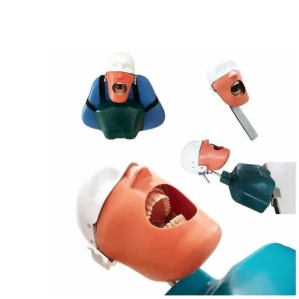 Dental Simulation Training System, Dental Phantom Head, Dental Manikin with torso