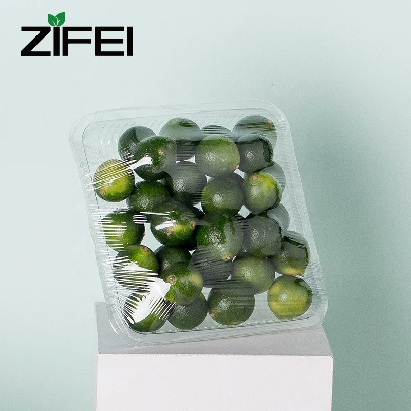 Disposable PET plastic take away Japanese sushi box/sushi tray/food tray