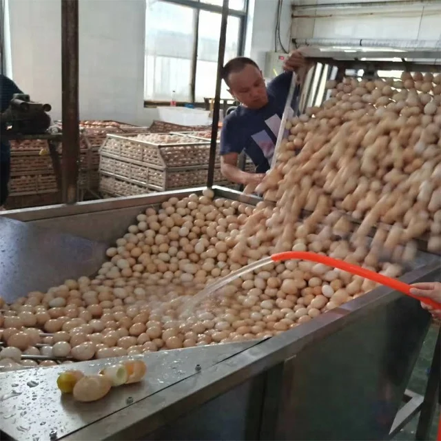 High quality chicken/duck egg washer cleaner and dryer machine for sale