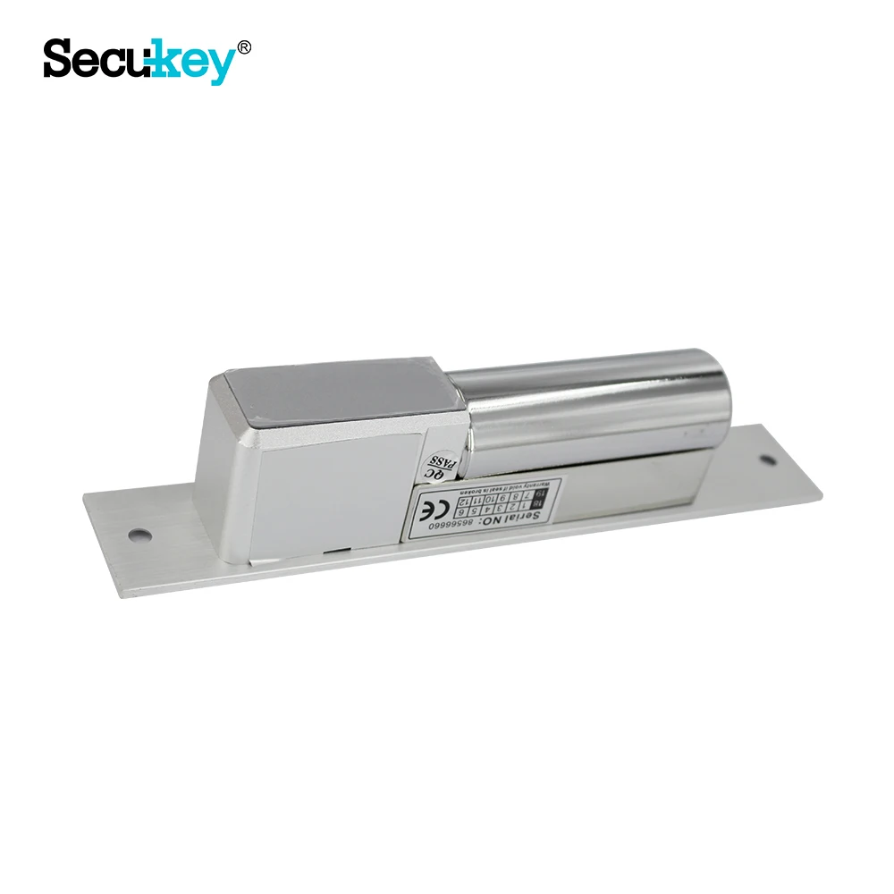 Electronic door lock stainless steel 800KG with signal and delay time for access control