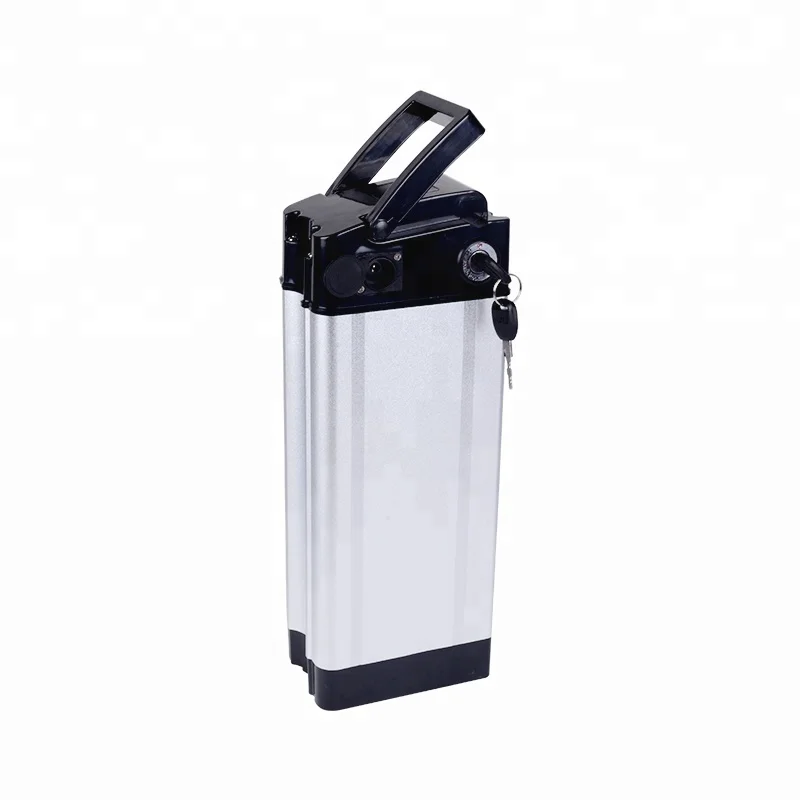 silver fish type BMS lithium 1000w 48 volt 20ah ebike battery