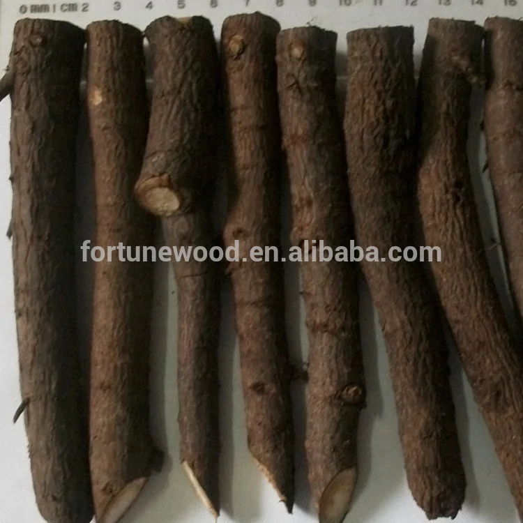 FTE paulownia корней