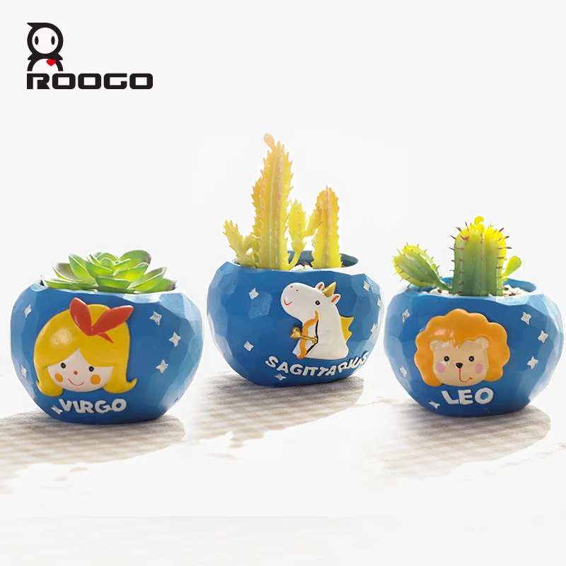 Roogo twelve constellations flower planter pots