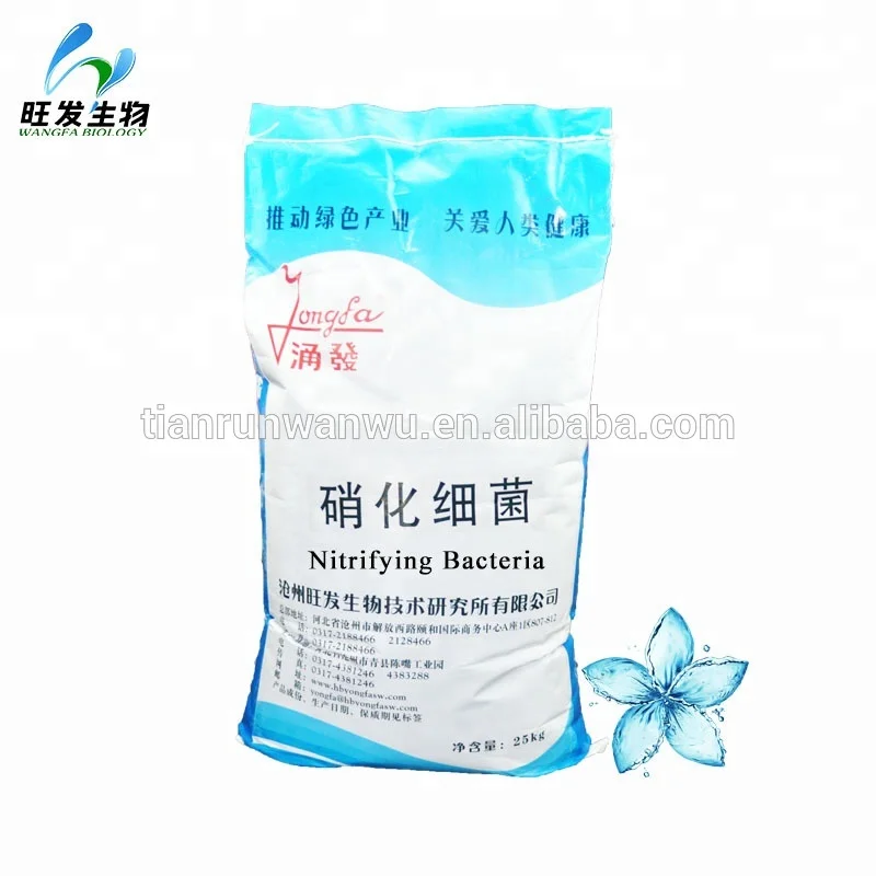 
Nitrifying bacteria for aquatic 