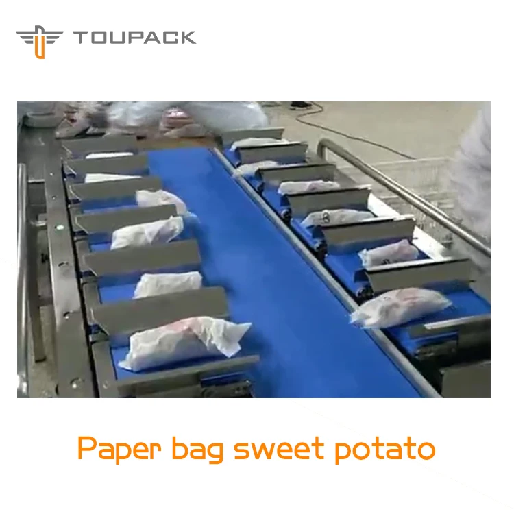 Semi-Automatic  Fresh Beef Pork Cuttlefish Dried Squid 12 Belt Mulithead Weigher