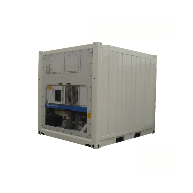 
DNV 2.7-1 Standard Thermo King Reefer Chiller Units 10ft Freezer Offshore Container 