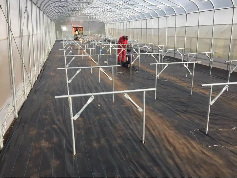 
pvc channel hydroponic nft growing systems for farm growing vegetable with hot dip galvanized frame/ stainless steel frame 