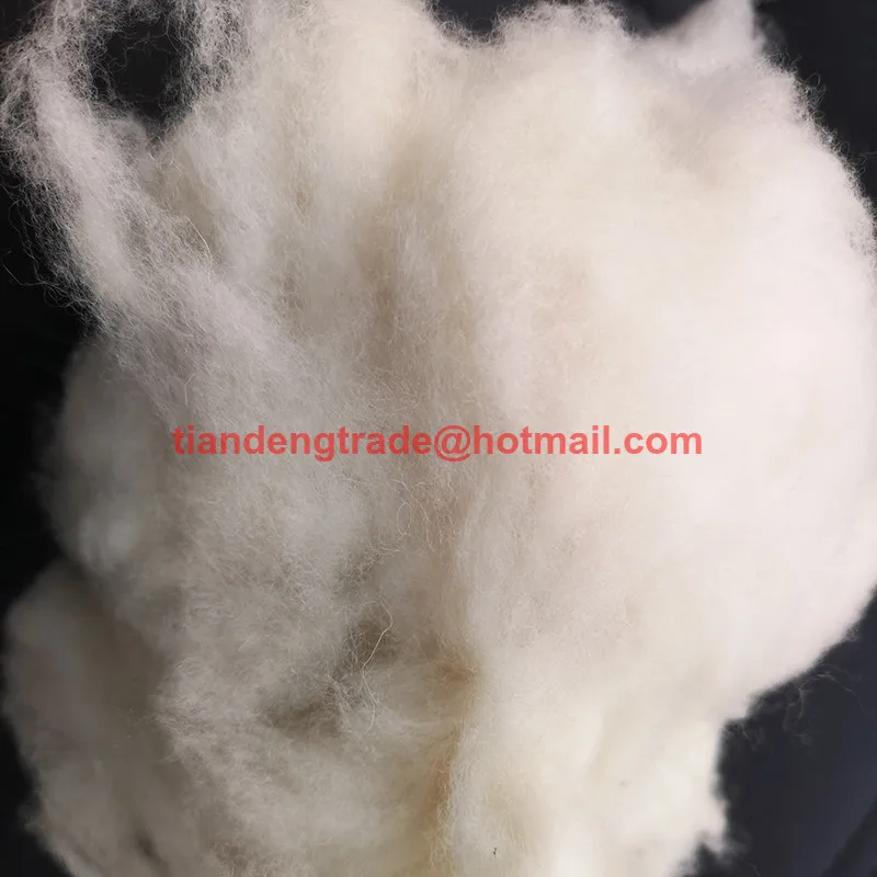 Оптовая продажа с фабрики овец 100% чистая шерсть волокнистом материале для Вязание длина 26-34 мм и тонкость 16,5-19.8mic