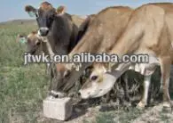 
Jintan Wick Mineral Animal Salt Lick 5kg 10kg 500ton pressure 