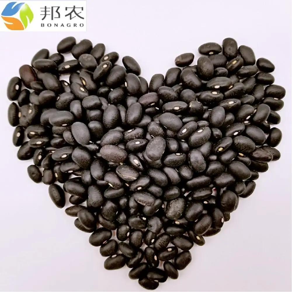 Черная фасоль