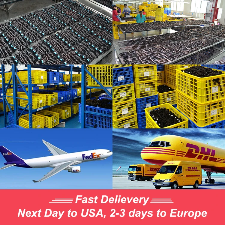 Бразильские натуральные человеческие волосы KBL наращивание волос Майами норковые бразильские необработанные от поставщика из