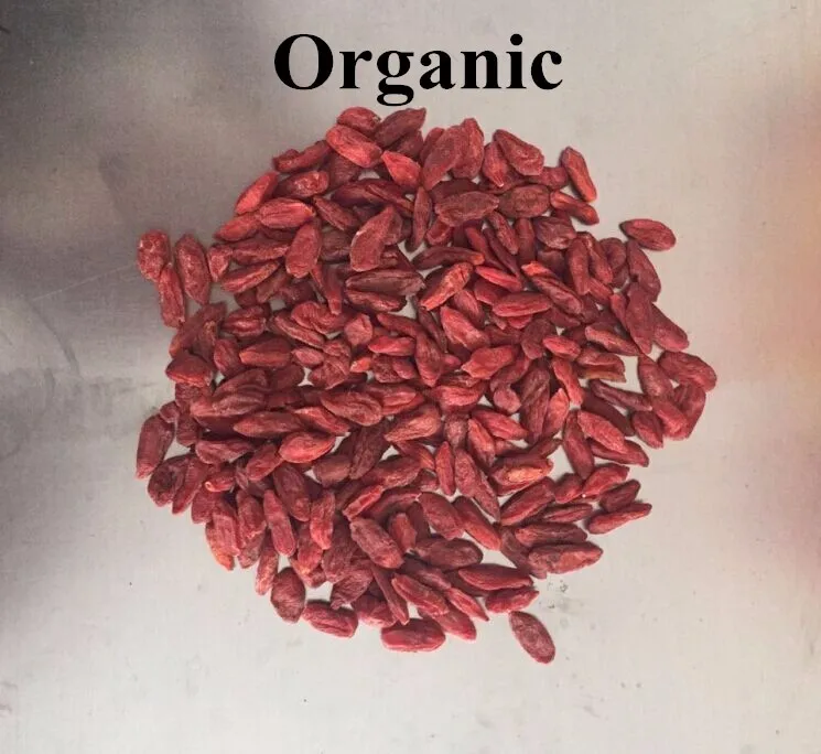 New Corp Red Medlar Lyciun Plus Chinese Wolfberry Dried Fruit Goji Berry Organic Fruit Product goji berri