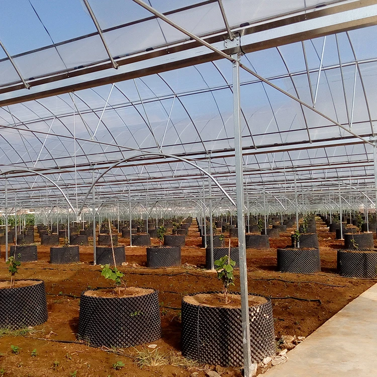
China Supply Grape Greenhouse With Grape Trellising System To Malaysia 