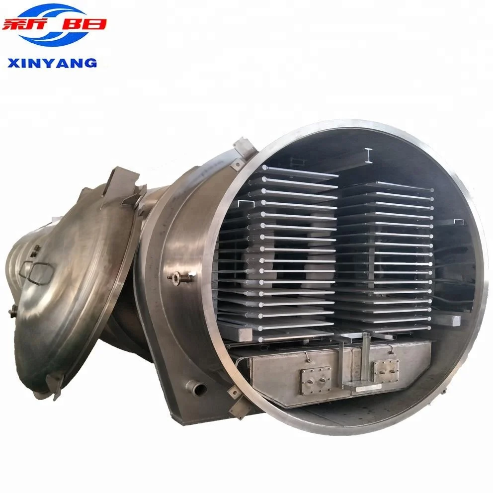 Vacuum Freeze Dry Fruit Machine / Industrial Freeze Dryer Price