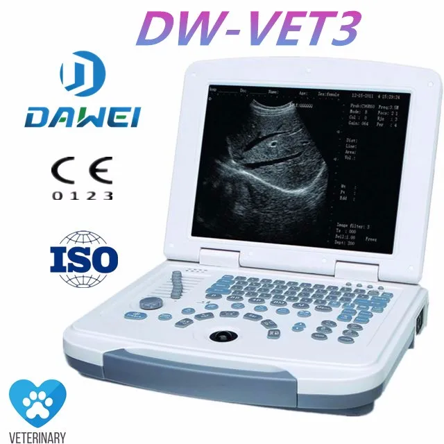 DW-VET2 full digital ultrasound scanner for veterinary/USG scanner instrument with competitive price pet hospital