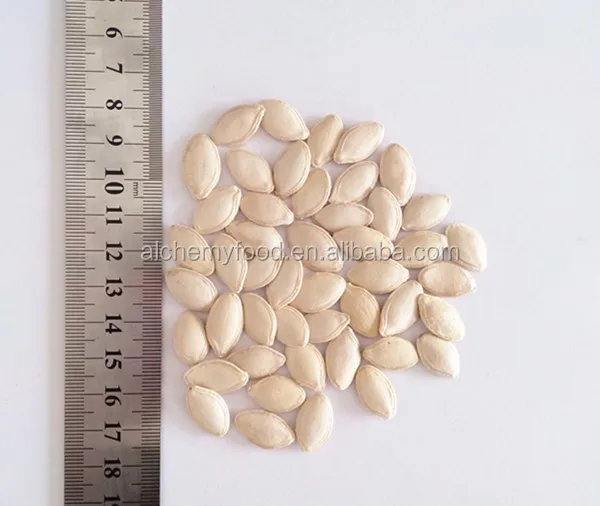Chinese Pumpkin Seeds Kernel and Pumpkin Seeds with HACCP