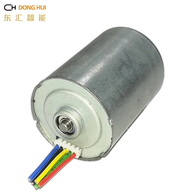 28mm diameter 12V 24V high torque  electronic dc micro brushless motor for pump DBL2838