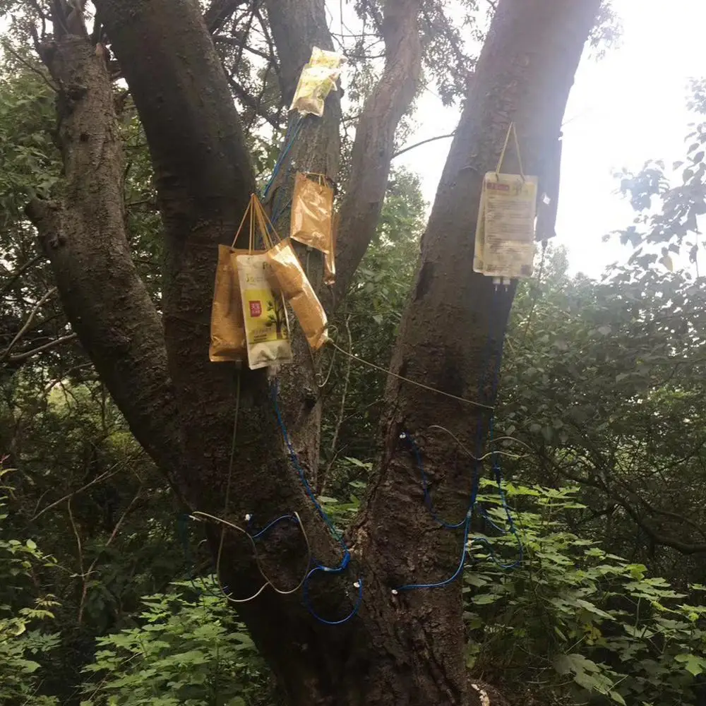 Spot 1000ml Tree Transplant Infusion Kit Irrigation System with Double Pump Plastic Media for Watering Plant