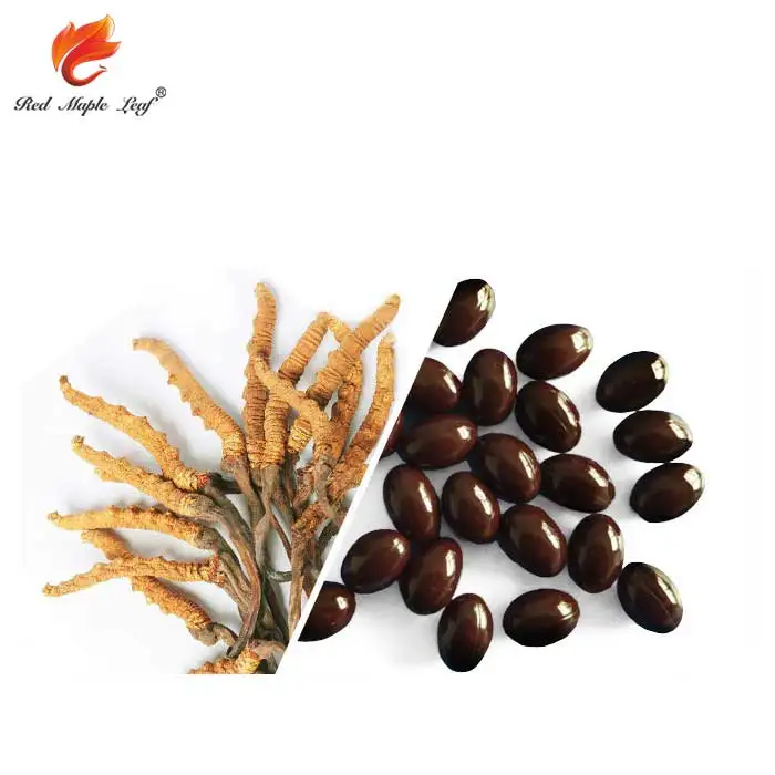 Natural Cordyceps Sinensis Extract Capsules, Softgels, supplement - Manufacturer, Price, OEM, Private Label