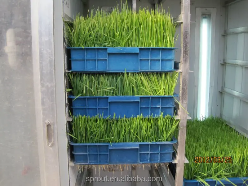 
Pea/Bean /Wheat/Barley Making Machine 