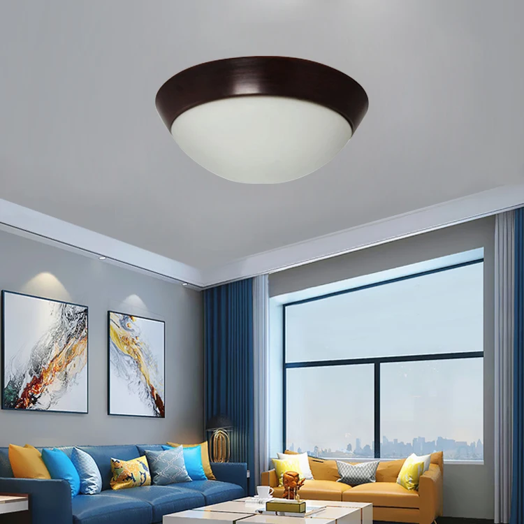 16 inch opal glass ceiling black led 15w E26 ceiling lamp  light home lighting