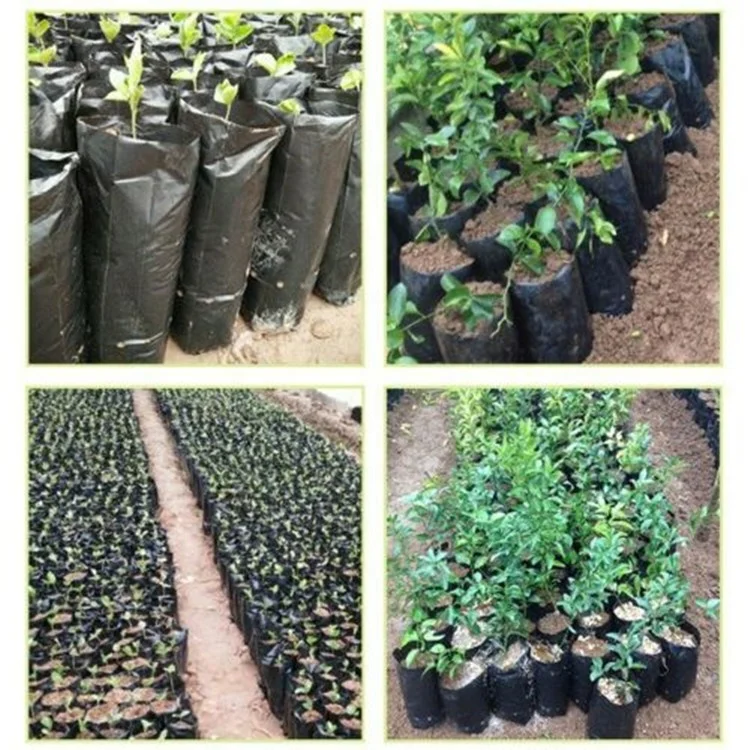horticulture garden greenhouse black poly  grow seedling bags nursery pots with drainage holes