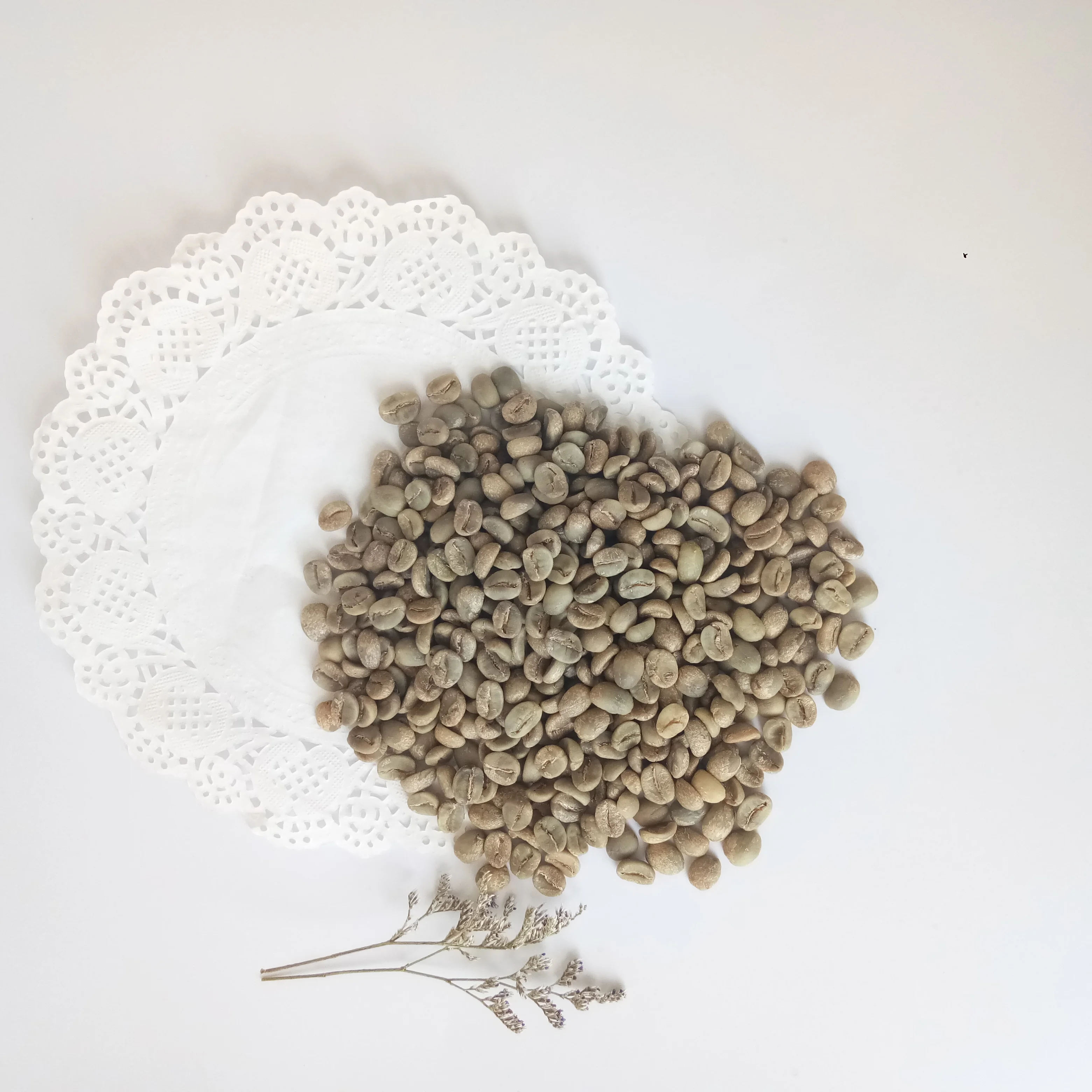 
Chinese yunnan green coffee beans,arabica type,unroasted coffee beans 