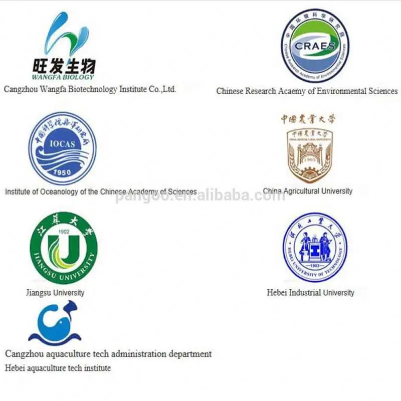 
POL-03 PANGOO , Probiotic feed for broiler 