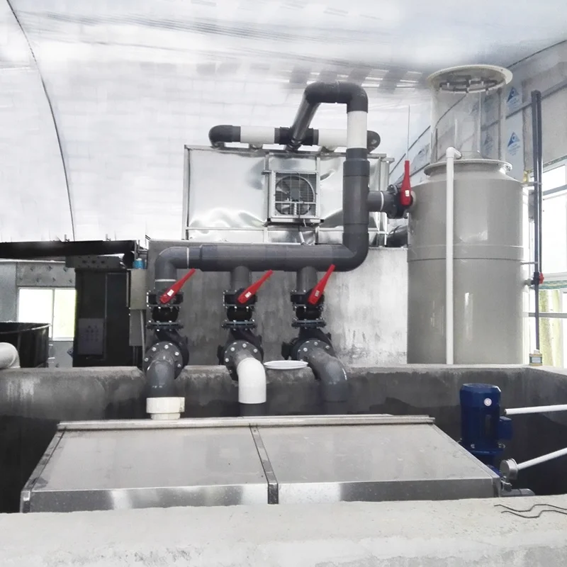 RAS fishing farming equipment, Recirculation Aquaculture System for Giant freshwater prawn,  Macrobrachium