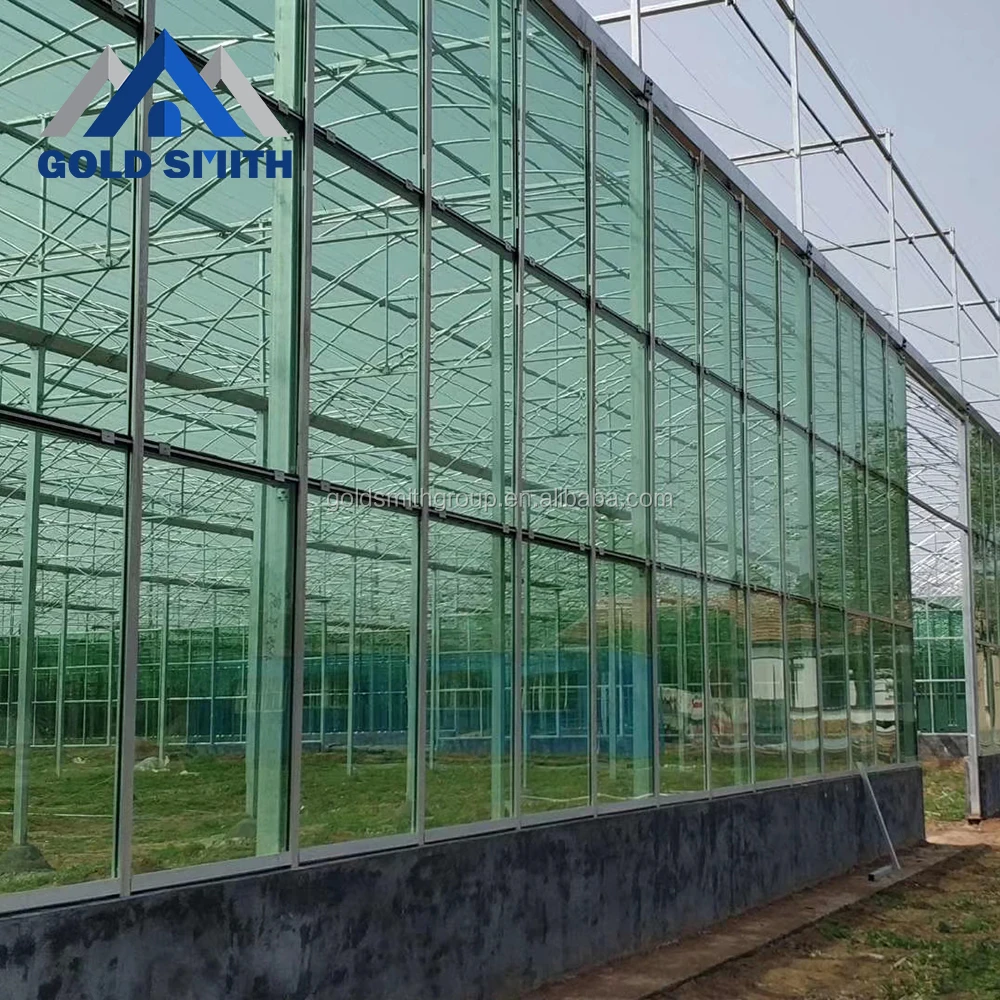 
Professional Venlo Type Hot Galvanized Steel Pipe Greenhouse with Intelligent Self-controlSystem 