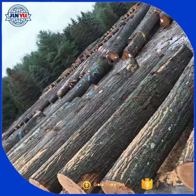 white oak logs sale american white oak timber white oak log prices