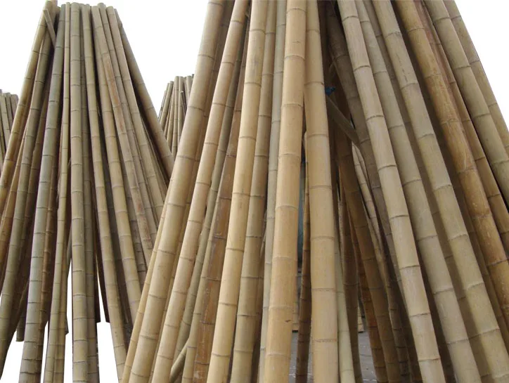 Treated Bamboo Flag Poles
