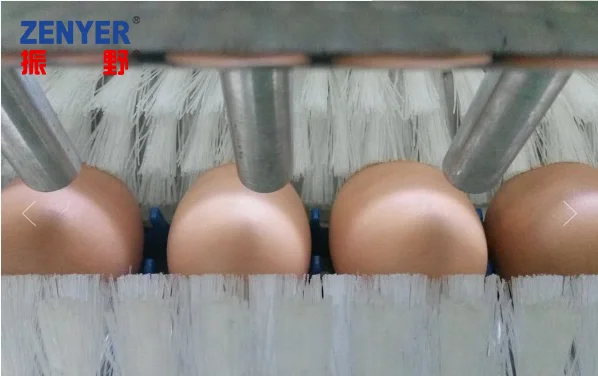 
Chicken egg washing machine egg processing equipment 