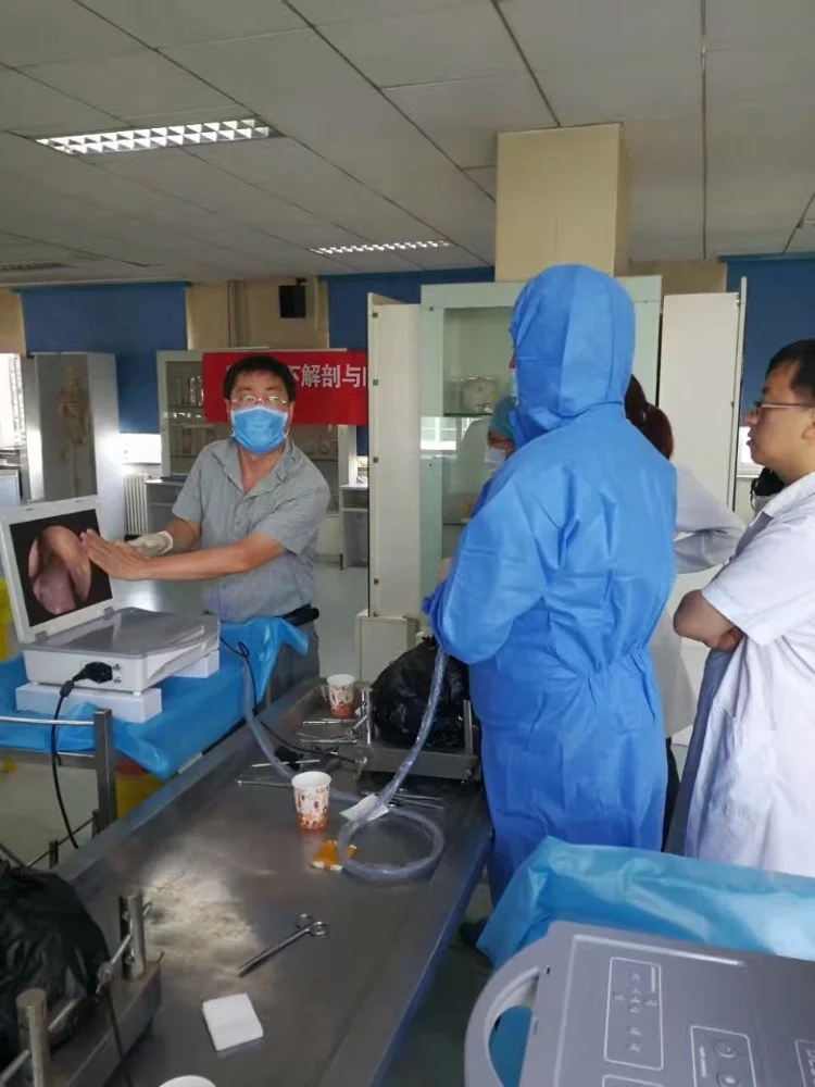 DELON SD card portable CCD camera system delon endoscopy