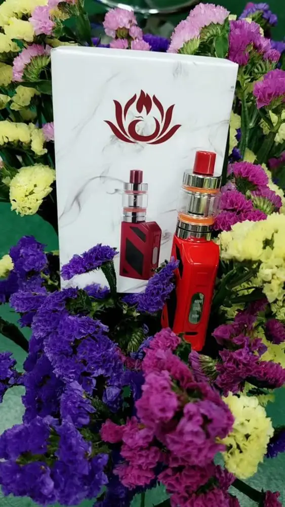 e cig box mod battery electronic cigarette 80w vape box mod vapes