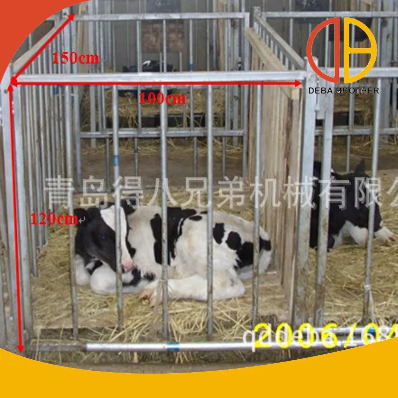 Клетки для индивидуального содержания телят