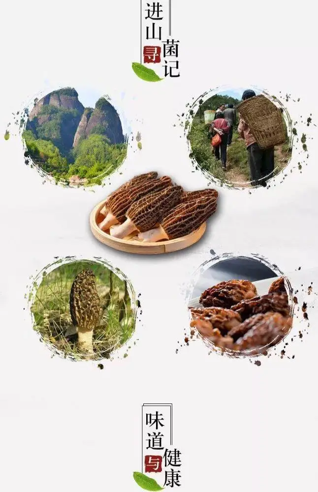 Factory Price Black Dry Morel Mushrooms Himalayan Morel Mushroom