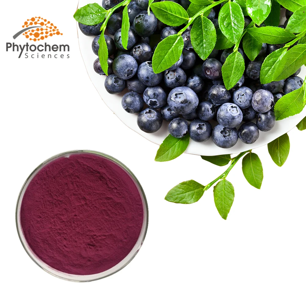 
bulk blue berry fruit Freeze-dried blueberry powder 