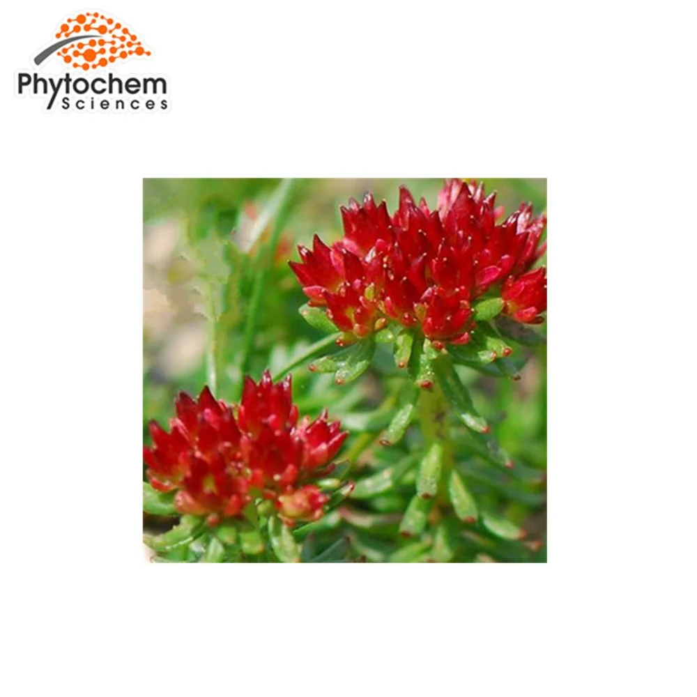 Hot sale Rhodiola Rosea Extract 3% Rosavins 1%Salidroside