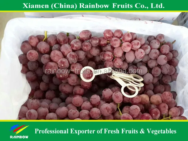 
Fresh Chinese Red Grape for Indonesia & Malaysia & Pilipina & Thailand market 