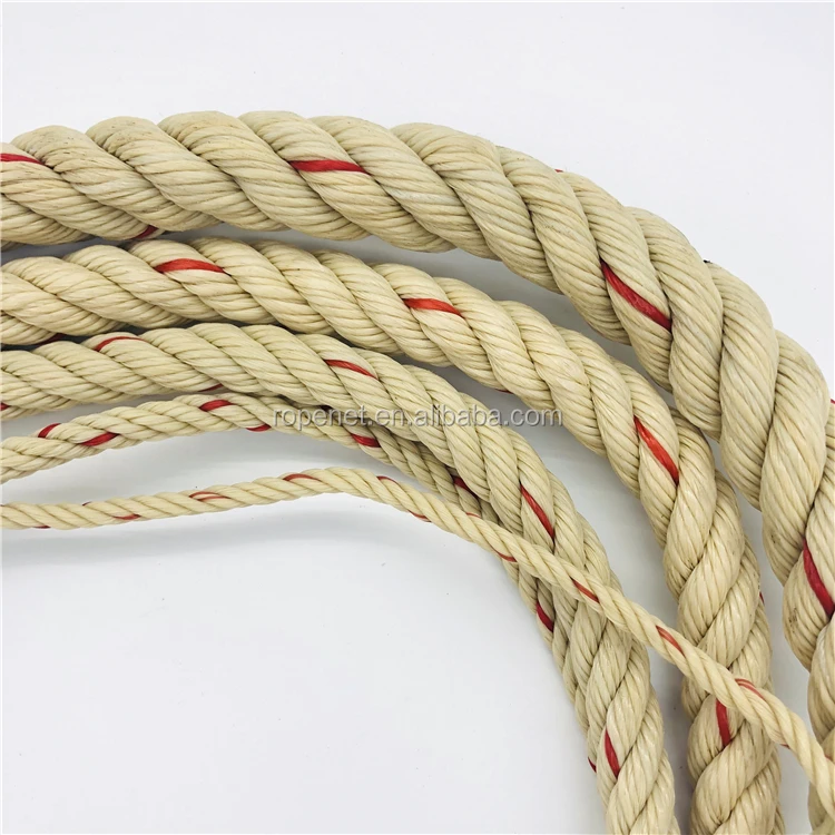 3 Strands Twisted PP Rope Strong Polypropylene PP Danline Monofilament Rope