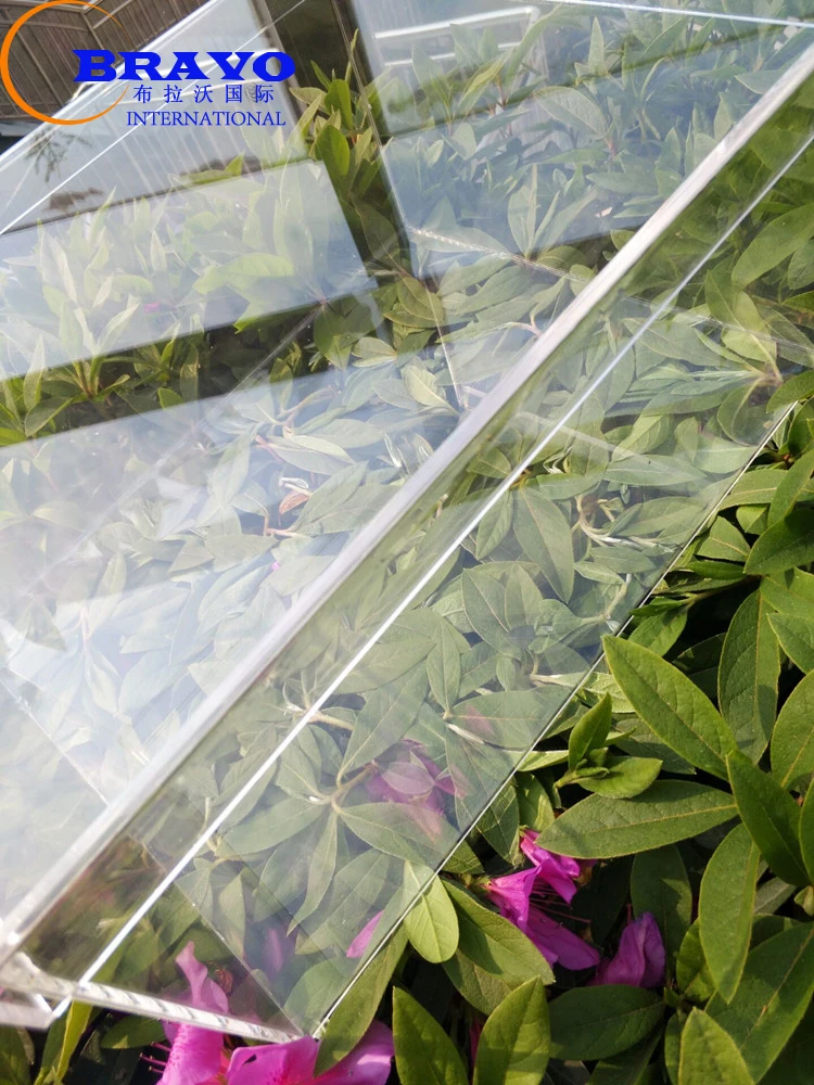 100% Clear 360 View Luxury Sneaker Display Box