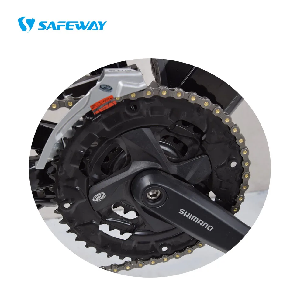 new model electric bike 1000w motor electric mountain bikes with 48V20AH electric bike High Powerful 48V Lithium Battery