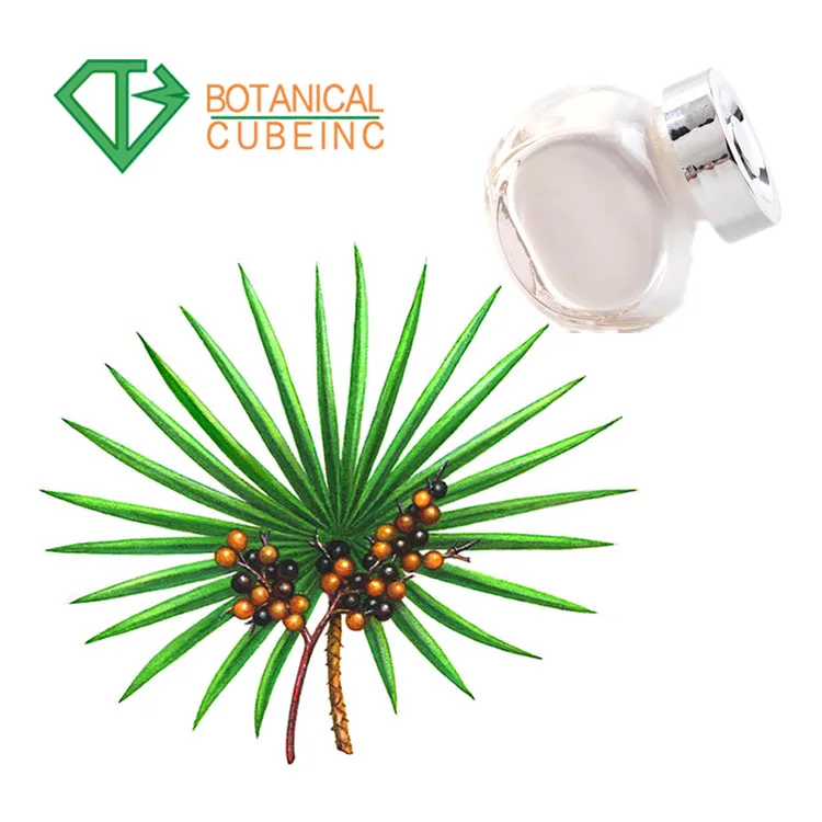  High Quality Saw Palmetto Extract Powder Palm Fatty Acid