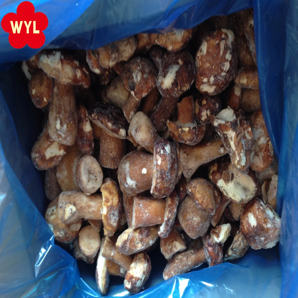 
china good price IQF Frozen Mushrooms Boletus Edulis 